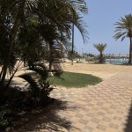 ايديال شاليه الحمرا