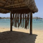 ايديال شاليه الحمرا